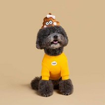 시간가는줄모르는 후각놀이 겸용 인형 강쥐지능장난감, 1개, 사이즈 one