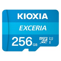 키오시아 EXCERIA microSD 256GB, 단품