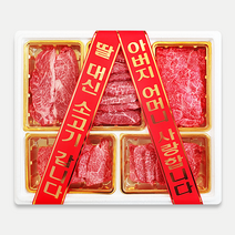 우마왕 한우 1++ 투뿔 구이용 명품 백화점 선물세트 리본메시지, 1kg, (오복)등심+채끝+살치+갈비살+부채살