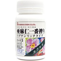 서플리먼트 홍화 음식 아마인 리그난 캡슐 430MG×100정 B077TMMKFF, One Size, One Color