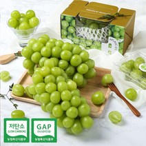 건강의정석 GAP인증 샤인머스켓 선물용 1송이(600g)