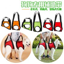 애완용품 슬개골탈구 장애견 다리밴드 휠체어 애완동물 보조벨트 노년장애 개 뒷다리 보조관절 뒷다리 금모 견인, 03 오렌지 앞다리, 02 M중형