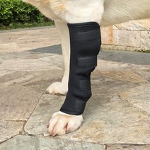 펫츠런 강아지 다리보호대(S) (블랙), 1개
