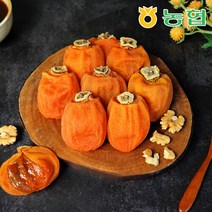 [농협] 자연건조 장성 대봉 반건시 곶감, 로얄과 50입, 1개