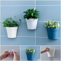 화분 벽걸이 미니 사이즈 꽃 장식 인테리어 공기 정화 가습 플라스틱 3개입, 그레이