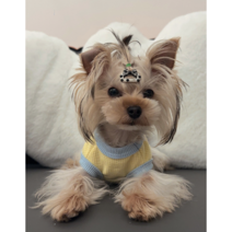 강아지 옷 실내복 프릴 나시 티셔츠 민소매티 애견의류, 16_곰돌이패치나시_스카이