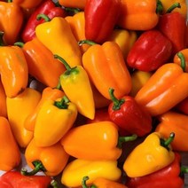 유기농 못난이 미니 라온 파프리카 1kg 2kg 5kg, 1kg(색상혼합)