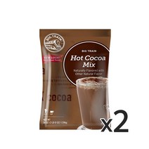 빅트레인 핫코코아믹스 파우더 1.59kg 2개