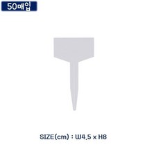 화분 식물 이름 팻말-중 50p 길이8cm, 장연다육 본상품선택