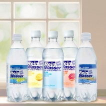 동아오츠카 [동아오츠카] 라인바싸 탄산수 500ml 총 40입 (택2/샤인머스캣.파인애플.플레인.레몬.자몽/20입 2박스), 플레인 1박스/플레인 1박스