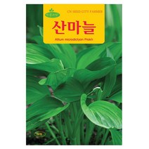 산마늘씨앗 산마늘씨 50립, 1개
