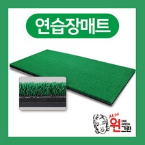 원그린 [국산]골프스윙매트 골프연습매트 골프퍼팅매트, 골프매트, 1개