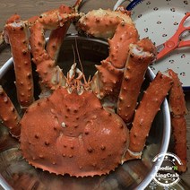 (예약판매)푸디앤 수율좋은 자숙한 브라운 킹크랩 1.5kg 3월 22일부터 배송가능