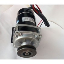 벨트 풀리 기어 모터 MY1020ZXF 브러시 전기 세발 자전거 DC 450W 24V 36V 48V, [01] 24V