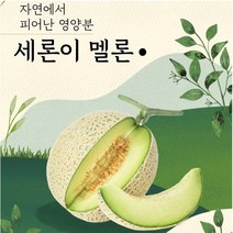 세지메론 세론이멜론 정품 나주메론 13brx 4수 노마진, 노랑박스(13브릭스) 4수 한박스