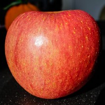 산지직송 소백산 영주 부사 사과 정품 가정용, 영주사과 정품 대과 10kg