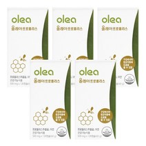 그린 프로폴리스 씹어먹는 폴리폴리스 구미 플로폴리스 추출물 플라보노이드 아연 츄어블 항산화 구강내 항균작용에 좋은 면역기능 영양제 식물성 추어블 캡슐, 120캡슐 x 5개