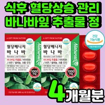 당에 좋은 혈당 컨트롤 억제제 당 조절 50대 중년 혈당에 좋은 강화제 상승 억제 바나바잎 추출물 바나나잎 부모님 건강 기능 식품 노인 식전 관리 개선제 당료에 좋은 영양제 보조제