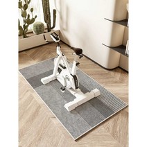 실내자전거 매트 충격 흡수 소음방지 운동 스포츠, 120x60cm 카두-1N