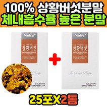 펠리누스린테우스 찔레 참나무 상화버섯 분말 스틱 부모님 어머니 아버지 할아버지 할머니 상화버섯차, 1개