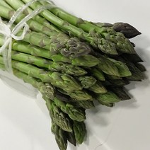 [영암상회]국내산 생 아스파라거스 500g 1kg 가니쉬, 아스파라거스1kg