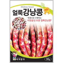 얼룩강낭콩 30g / 비넝쿨성 토종 강낭콩 텃밭 키우기 종자 씨앗