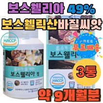 보스웰리아 추출물 49% 보스웰릭산 수액 홈쇼핑 추천 HACCP인증 테르펜 유향 음료베이스 보스웰리아먹는법 사과초모식초 페놀 보스웰리아 유향나무 타블렛 정 실버 중 장년 보스벨리아