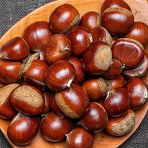 햇 알밤, 햇알밤 (특) 1kg