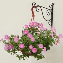 철제벽걸이 화분걸이 25cm/벽장식 후크 거치대 받침대, 철제벽걸이 화분걸이 25cm 화이트