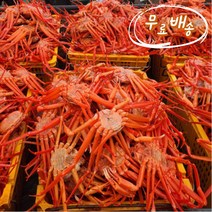 국산 울진 동해 홍게 3kg (자숙 8~10미 수율 75~85%)