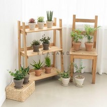 플라랜드 공기정화식물 독일토분 모음2, 떡갈고무나무 - 독일토분(그레이) 중