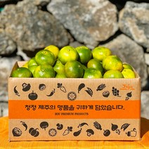 제주 감귤 햇 노지 타이벡 감귤 극조생 조생 서귀포 효돈감귤, 타이벡감귤, 25.조생 프리미엄(S) 4.5kg