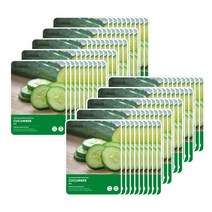 리코셀 네이처 리커버리 오이 마스크팩 23g 100매, 100개, 1개