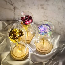 문구삽입 장미꽃 무드등 LED 유리돔 꽃조명 기념일 선물 꽃한송이 간접등, 오로라장미