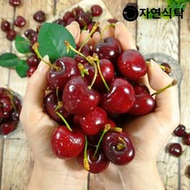 프리미엄 칠레산 고당도 생체리 3kg (10row), 단품