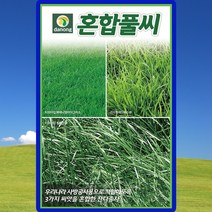 혼합풀씨앗 잔디씨 종자 1kg