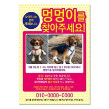 반려견찾기애완실종전단지 고양이 실종 강아지를찾아주세요 디자인무료, 샘플6, 100매