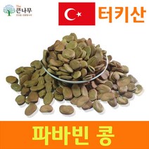 The큰나무 터키산 파바빈 콩 원물 항공직수, 1팩, 350g