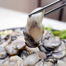 통영 생굴 깐굴 굴 회 석화 횟감용 1kg 산지직송, 깐생굴 1kg