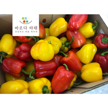 바르다야채 국산 혼합 파프리카 (빨강+노랑), 1kg