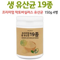 생유산균 프리미엄 유산균 파우더 분말 대용량 락토바실러스 가세리 가루 정품 프로바이오틱스 요구르트 향 김치유산균 모유유산균, 4병, 150g
