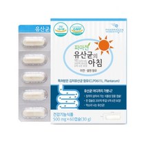 신프리바이오틱스 식물유래 김치유산균 200억 CLP0611 락토바실러스 플란타룸 장용성 코팅 60캡슐