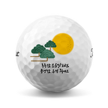 추석 명절 선물 2피스 3피스 커스텀 골프공 인쇄 추천 12구, F, 원핏골프 UNIQUE 3.1ft (아이오노머)