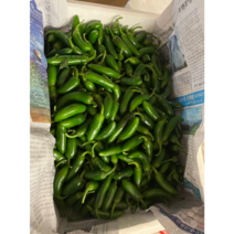 할라피뇨고추 1kg 3kg 퍼펙토 퍼펙트고추 아삭이고추 할라피뇨아삭이 장아찌 피클용고추 고추피클, 1개