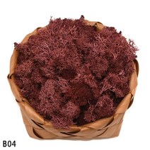 비바리움 이끼테라리움 액자 40g 인공 식물 영원한 생명 이끼 미니 정원 마이크로 풍경 액세서리 홈 웨딩 장식 벽 diy 꽃 재료, b04