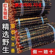 말린지네 야생 지네건조품 한약재료 정통 호북 붉은머리 지네 9-17cm 길이, 지네가루 5g