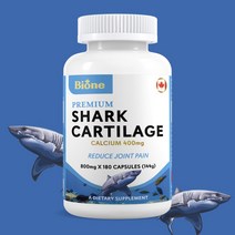 캐나다 BIONE 상어연골 콘드로이친 칼슘 800mg 180캡슐, 1개, 갯수