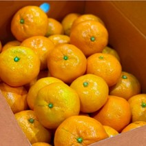 제주 하우스 감귤 2kg 3kg 5kg 제주도 당도선별 노지 타이백 감귤, 2kg(중과)