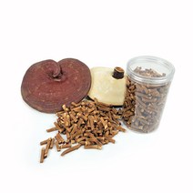 표고아빠 국산 참나무 말린 건조 영지버섯 칩(사각절편), 600g