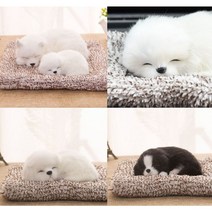 애견용품 차량용 인테리어 애완동물, 흰고양이